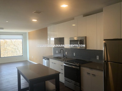 Jamaica Plain Apartment for rent 2 Bedrooms 2 Baths Boston - $4,585 No Fee