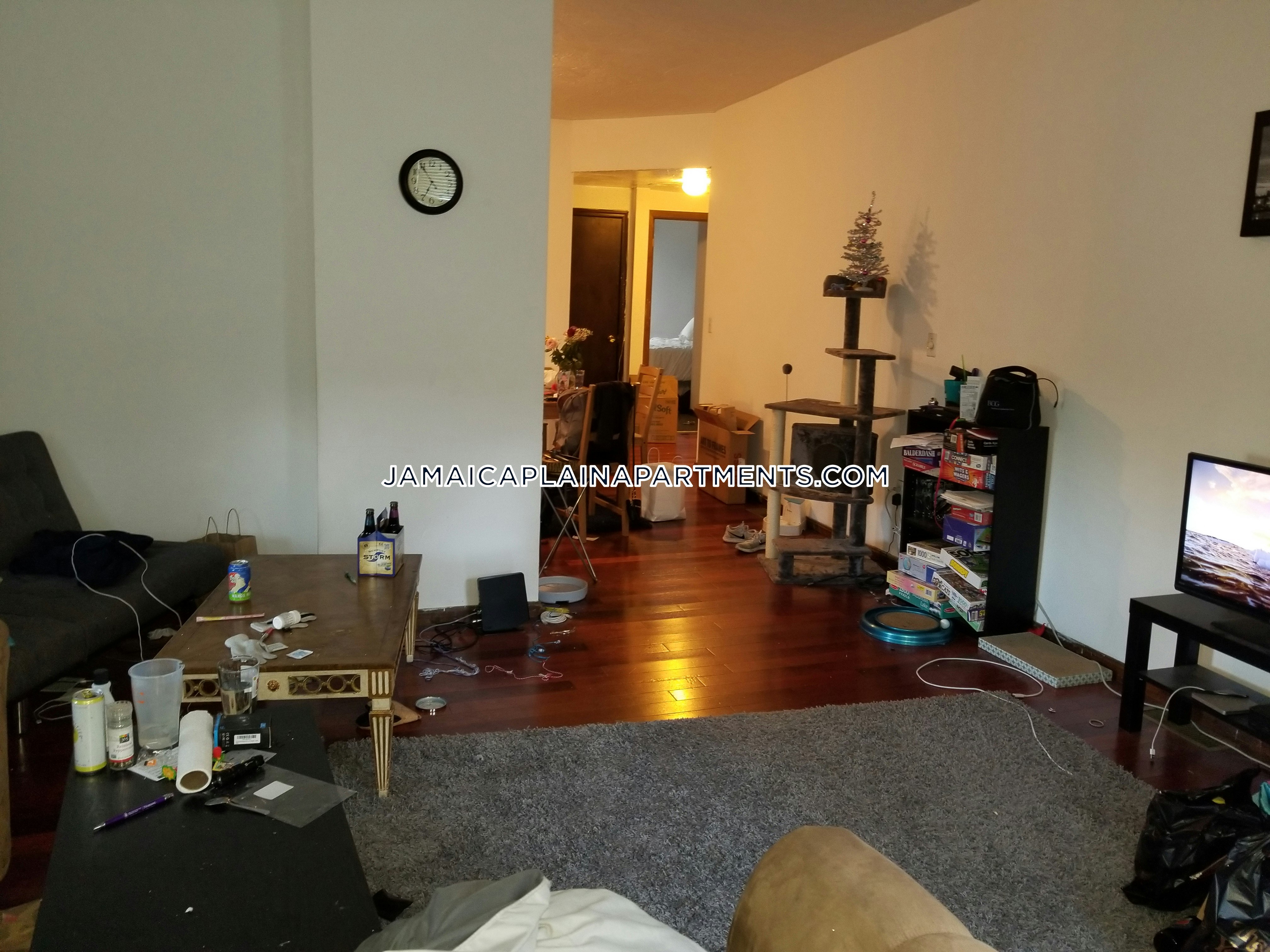 Jamaica Plain Fabulous 4 Bedroom Apartment In Jp Boston 3 400