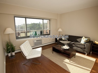South End Apartment for rent 1 Bedroom 1 Bath Boston - $3,475