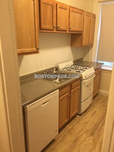 Brighton Apartment for rent 1 Bedroom 1 Bath Boston - $2,375 No Fee