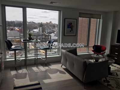 Brighton Apartment for rent 2 Bedrooms 2 Baths Boston - $5,739 No Fee