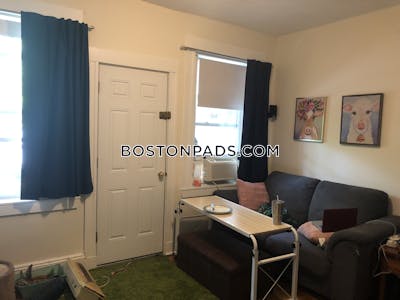 Brighton Apartment for rent 1 Bedroom 1 Bath Boston - $2,295 No Fee