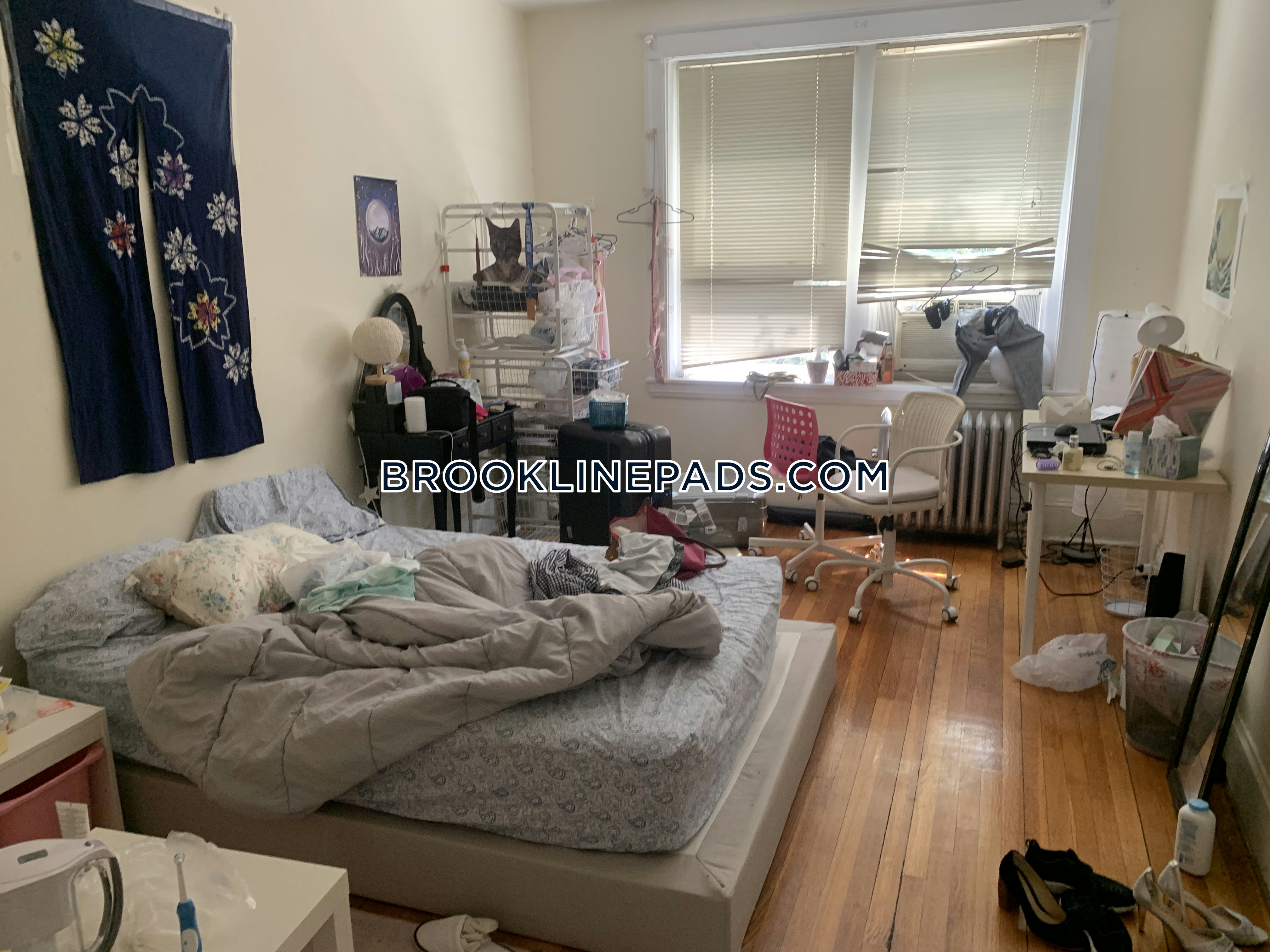South End Apartments Brookline Apartment For Rent 4 Bedrooms 1 5