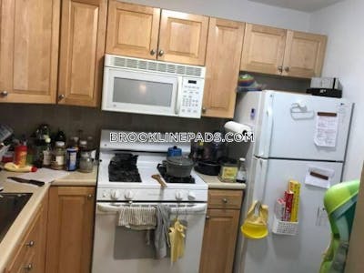 Brookline Apartment for rent 1 Bedroom 1 Bath  Brookline Village - $2,800