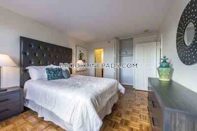 Brookline Apartment for rent 2 Bedrooms 1.5 Baths  Boston University - $3,900 No Fee