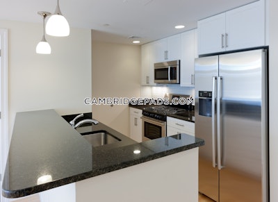 Cambridge Apartment for rent 2 Bedrooms 2 Baths  Davis Square - $4,500 50% Fee