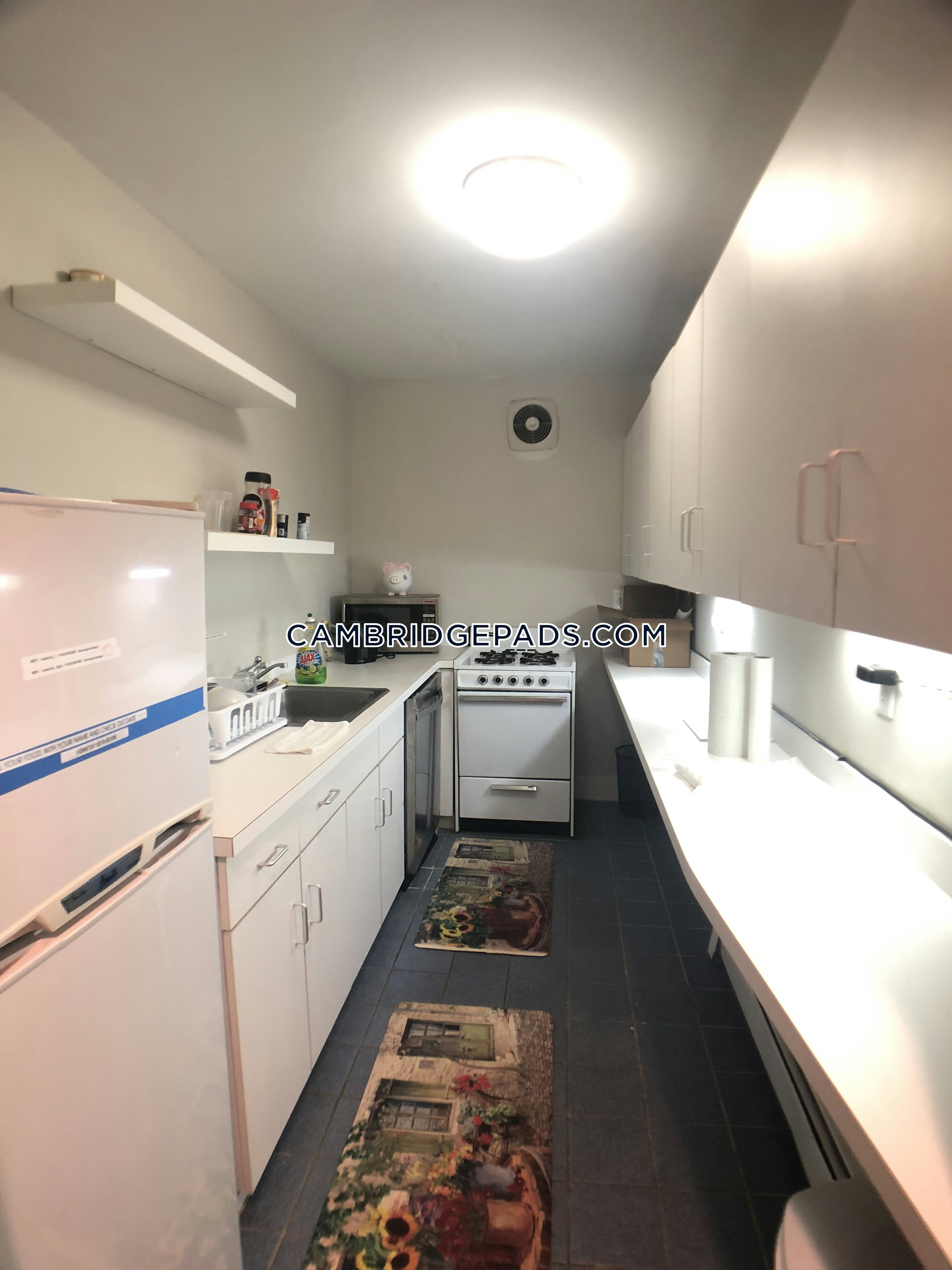 Cambridge Apartment For Rent 3 Bedrooms 1 Bath Harvard Square 3 700