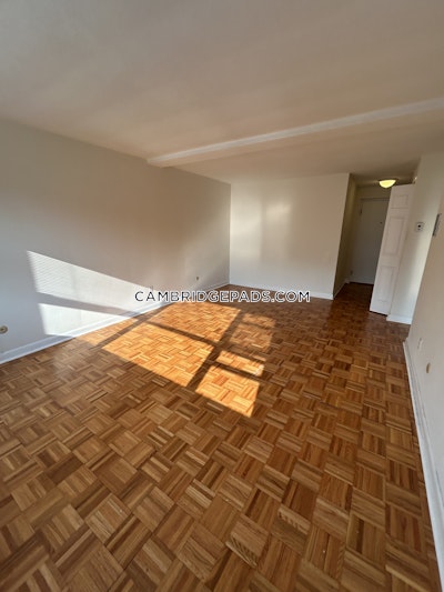 Cambridge Apartment for rent 1 Bedroom 1 Bath  Harvard Square - $2,695