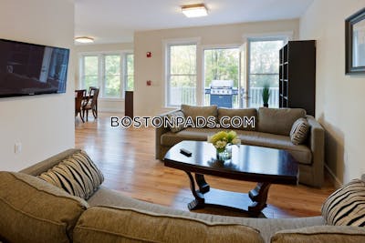 Cambridge Apartment for rent 1 Bedroom 1 Bath  Mt. Auburn/brattle/ Fresh Pond - $3,250 No Fee