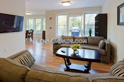 Cambridge Apartment for rent 3 Bedrooms 2 Baths Mt. Auburn/brattle/ Fresh Pond - $5,450 No Fee