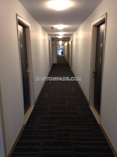 Cambridge Apartment for rent 1 Bedroom 1 Bath  Mt. Auburn/brattle/ Fresh Pond - $2,300 No Fee