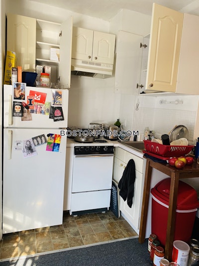 Jamaica Plain Apartment for rent Studio 1 Bath Boston - $1,800
