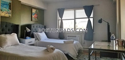 Allston Apartment for rent Studio 1 Bath Boston - $1,900