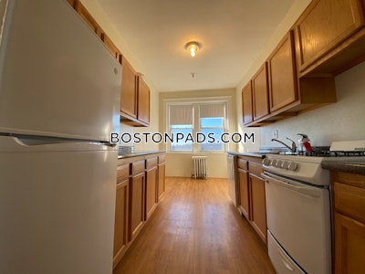 Brighton Apartment for rent 1 Bedroom 1 Bath Boston - $2,595 No Fee