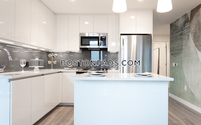 West End Apartment for rent 2 Bedrooms 2 Baths Boston - $10,451