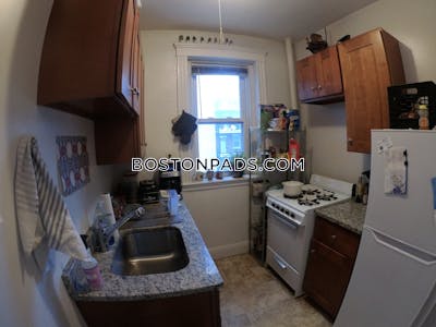 Allston/brighton Border Apartment for rent 1 Bedroom 1 Bath Boston - $2,400