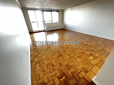 West End Apartment for rent 1 Bedroom 1 Bath Boston - $4,125