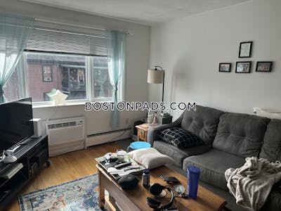 Jamaica Plain Apartment for rent 1 Bedroom 1 Bath Boston - $2,700