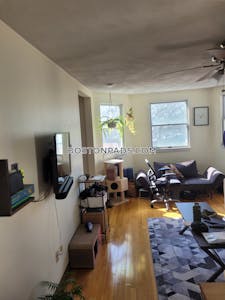 Somerville 1 Bed 1 Bath  Davis Square - $2,900