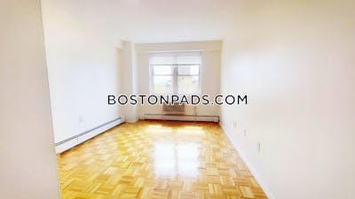 Brookline Apartment for rent 1 Bedroom 1 Bath  Boston University - $3,100