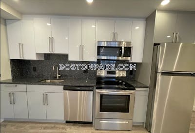 Allston Apartment for rent Studio 1 Bath Boston - $2,900