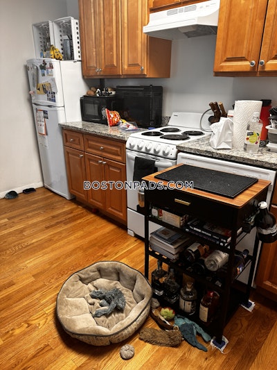 Brighton 1 Bed 1 Bath Boston - $2,200