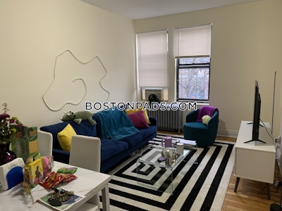 Allston Apartment for rent 1 Bedroom 1 Bath Boston - $2,100