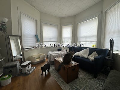 Allston/brighton Border 2 Bed 1 Bath BOSTON Boston - $2,450
