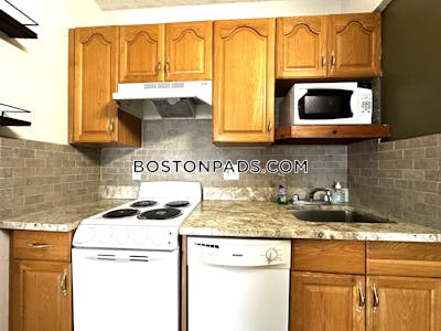 Allston Apartment for rent Studio 1 Bath Boston - $2,050