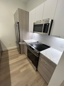 Allston Apartment for rent 1 Bedroom 1 Bath Boston - $3,200 No Fee