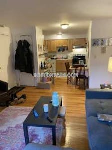 Allston/brighton Border Apartment for rent 2 Bedrooms 1 Bath Boston - $2,860