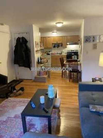 Allston/brighton Border Apartment for rent 2 Bedrooms 1 Bath Boston - $2,860