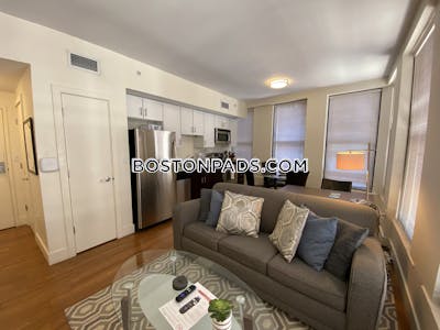 Downtown Apartment for rent 1 Bedroom 1 Bath Boston - $3,400 50% Fee