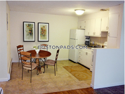 Brookline Apartment for rent Studio 1 Bath  Boston University - $2,550