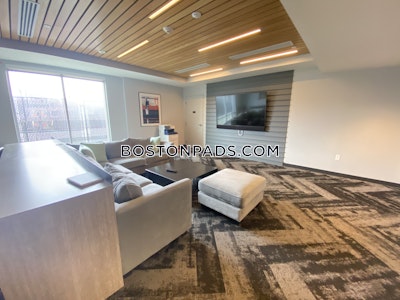 Allston 2 Beds 1 Bath Boston - $4,365