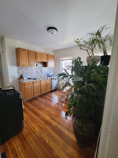 Dorchester Apartment for rent 3 Bedrooms 1 Bath Boston - $3,100