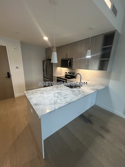 Allston Apartment for rent 2 Bedrooms 2 Baths Boston - $5,000 No Fee