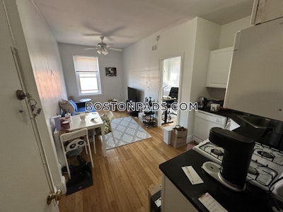 Northeastern/symphony Apartment for rent 1 Bedroom 1 Bath Boston - $2,700 No Fee