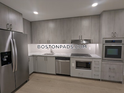 Allston Apartment for rent 1 Bedroom 1 Bath Boston - $3,750 No Fee