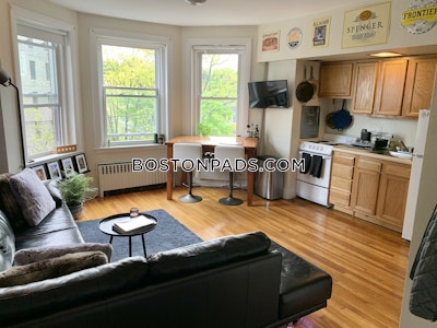 Brookline NO BROKERS FEE! Beautiful 1 Bed located in Brookline!  Washington Square - $2,650 No Fee