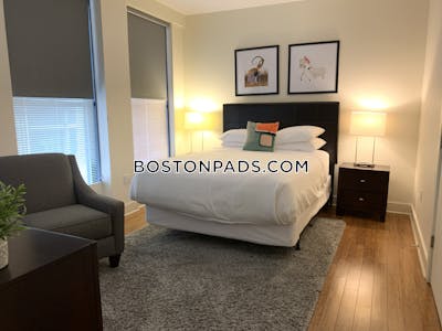 Downtown Apartment for rent 1 Bedroom 1 Bath Boston - $3,200
