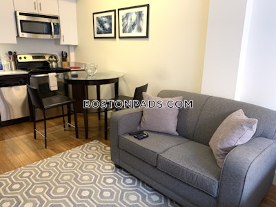 Downtown Beautiful Studio 1 Bath Boston - $2,750