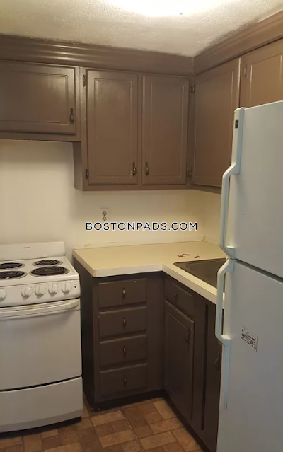 South Boston Apartment for rent 1 Bedroom 1 Bath Boston - $1,990
