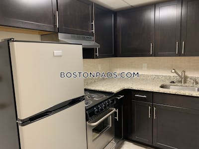 Chinatown Apartment for rent Studio 1 Bath Boston - $2,450 No Fee
