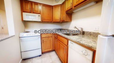 Brookline Apartment for rent 2 Bedrooms 1 Bath  Boston University - $3,700