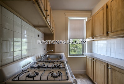 Allston Apartment for rent Studio 1 Bath Boston - $2,300