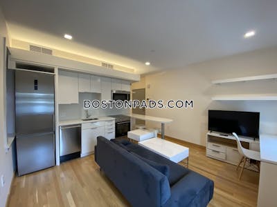 Cambridge Studio 1 Bath  Harvard Square - $3,500