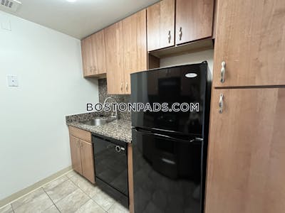 Back Bay Apartment for rent 1 Bedroom 1 Bath Boston - $3,895