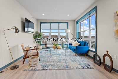 Dorchester/south Boston Border Apartment for rent 1 Bedroom 1 Bath Boston - $3,000