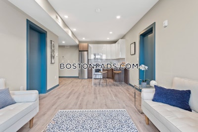 Dorchester/south Boston Border 2 bedroom 2 baths in BOSTON Boston - $3,350